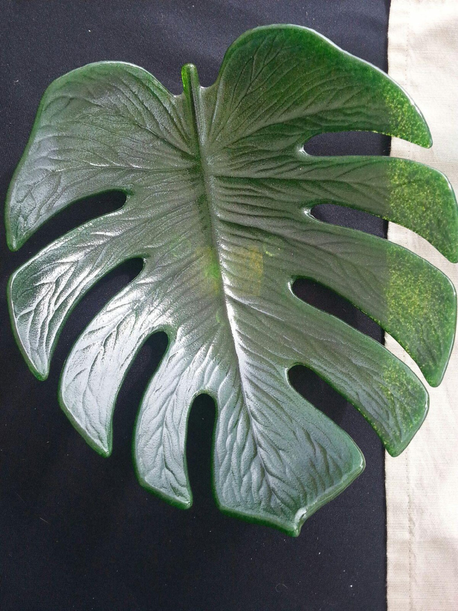 houttuynia chameleon plant Houttuynia 'Chameleon' (4